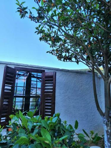 Villa Vacation House Vila Guma Rastani Mostar