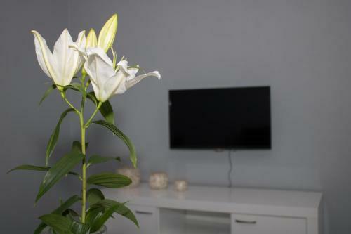 Hostal Villa M