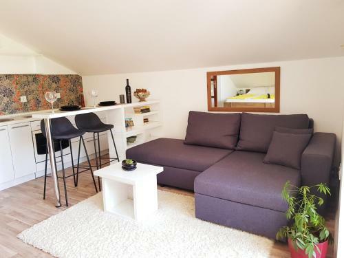 Central Studio Apartment With Parking, Balcony & Garden