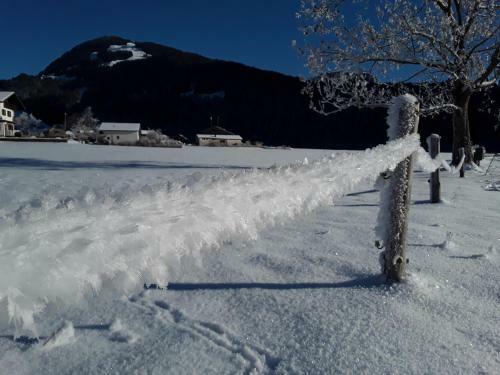Apartamento Appartment Hirschberg