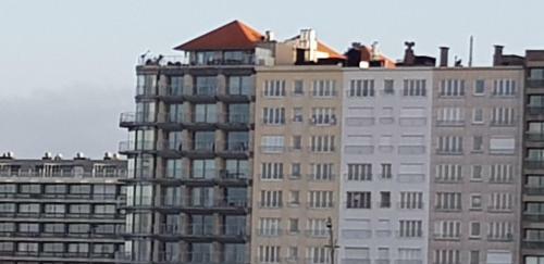 Apartamento Ideal Tower Dakterras