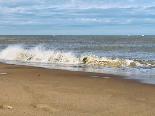 Apartamento Sfeervol Appartement Te Blankenberge