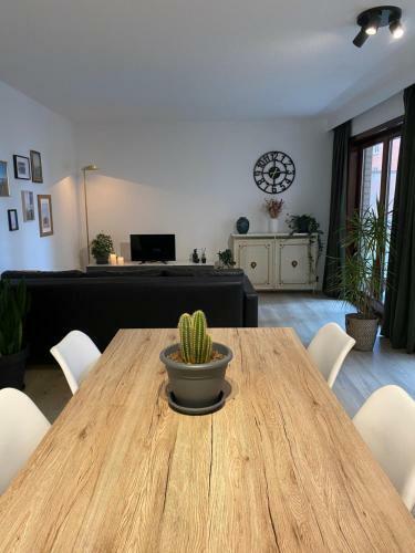 Apartamento Studio Zeedicht