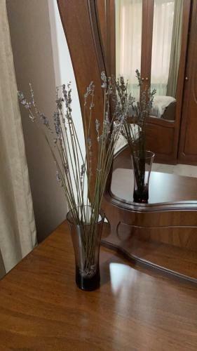 Guest House Velvet