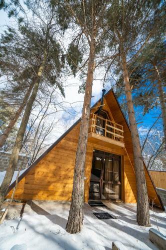 Hotel Woodland Cottages