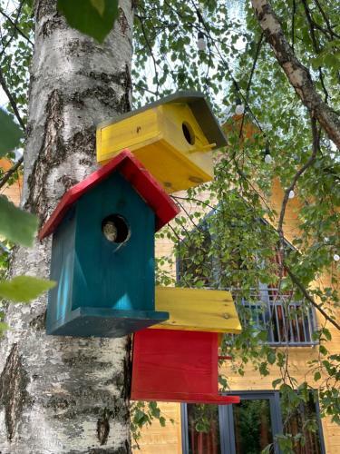 Eco Chalet Tsaghkadzor