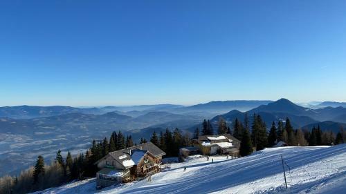 Petzen Cottages - Petzen Chalets