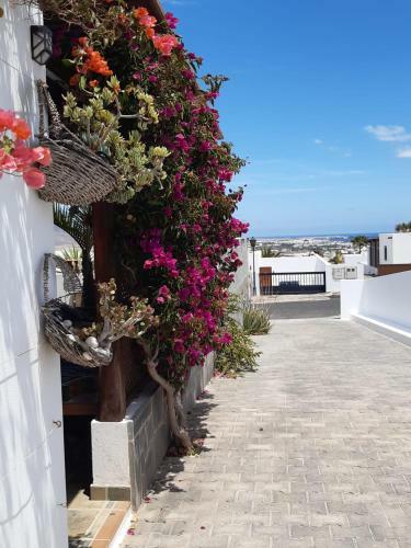 Apartamento Alma