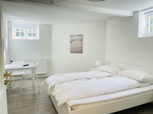 Hostal Aday - City Central Mansion - Privat Room