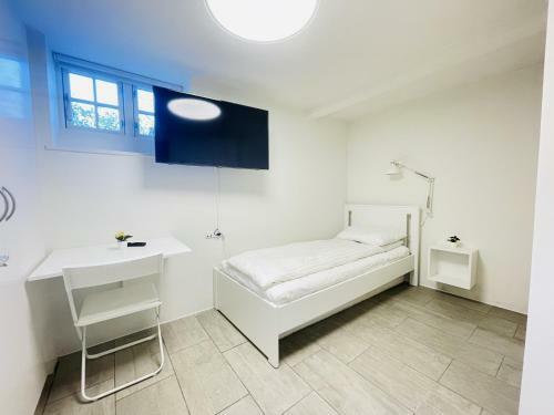 Hostal Aday - City Central Mansion - Private Room 2