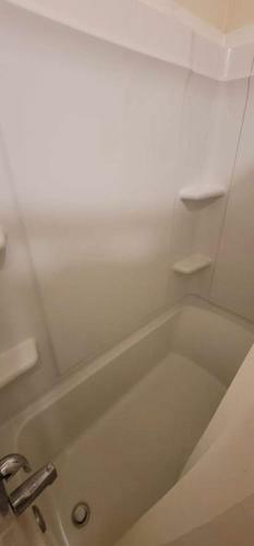 Whole Home, Airstrip/float Access, Aurora Viewing!