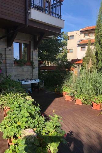 Hostal Breeze Guest House