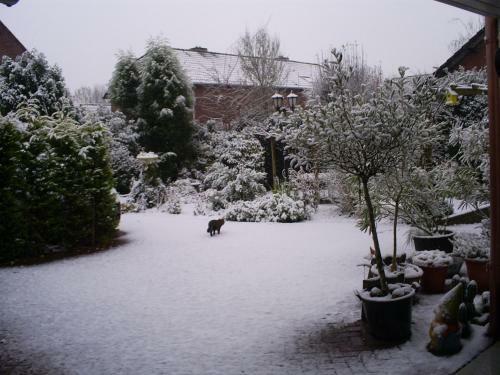 Bed & Breakfast Azzurro