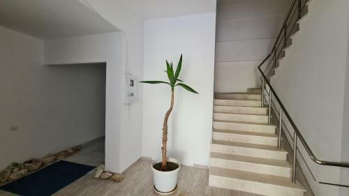 The Hill Sea View Apartment