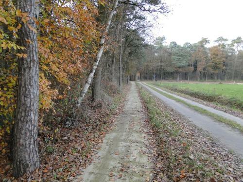 B&B Erve Dikkeboer