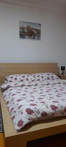 Apartman Obili?evo