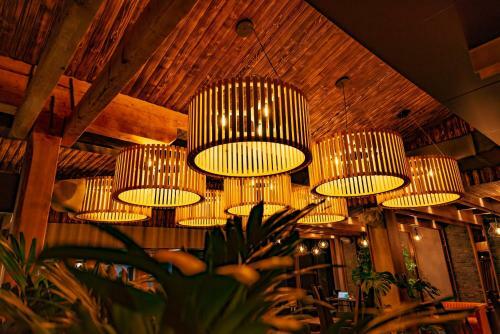 Hotel Forest
