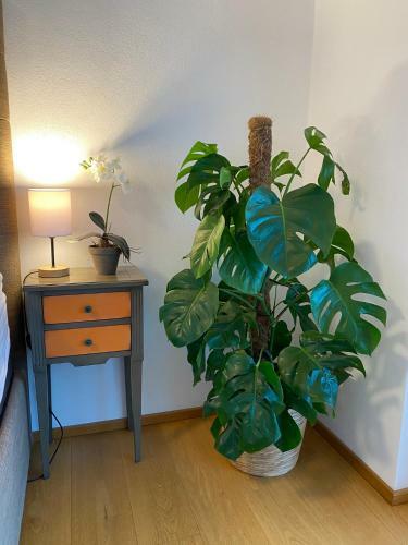 Apartamento Luxus Penthouse Bregenz Feldmoos