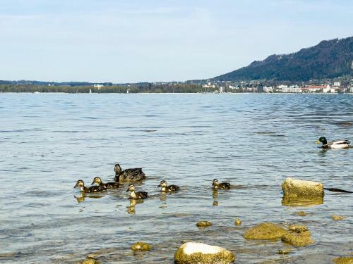 Apartamento Ferienwohnung Bregenz 8 Top 4