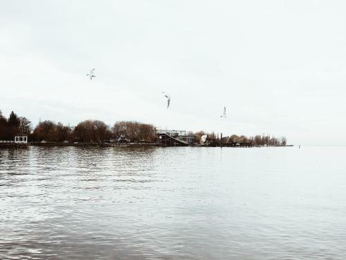 Apartamento Ferienwohnung Bregenz 8 Top 4