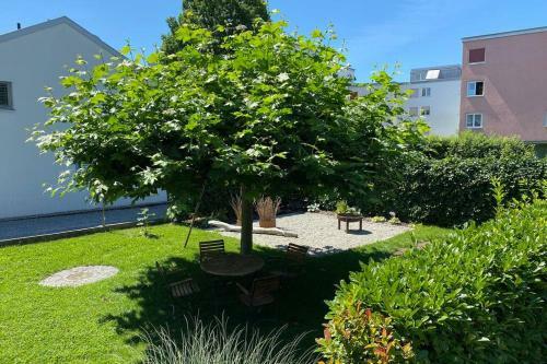 Apartamento Bregenzer Traum Am Bodensee Inkl Fahrr�der
