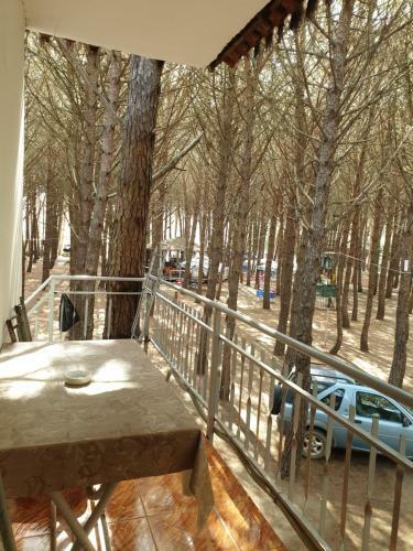 Apartamento Hotel Domeniko&juri