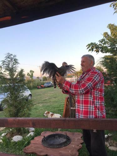 Windmill Shkodra Gesthouse Camping & Grill