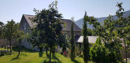 Car Mountain Melody