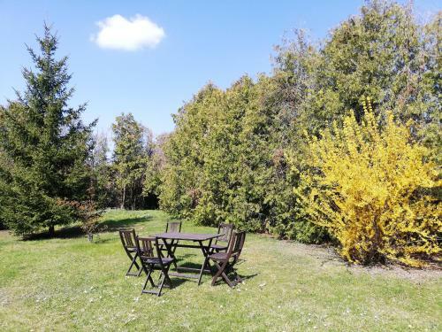 Apartamento Kirschbluetenappartements