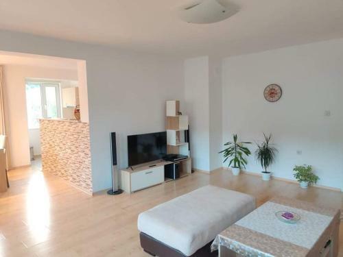 Apartment Suni
