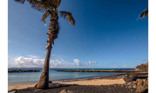Apartamento Playa Flamingo 67