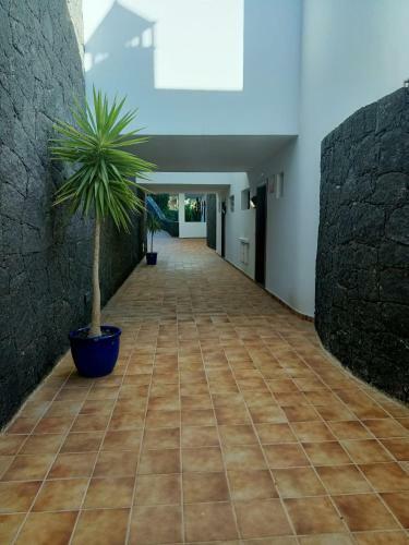 Apartamento Coloradas Villa Alba