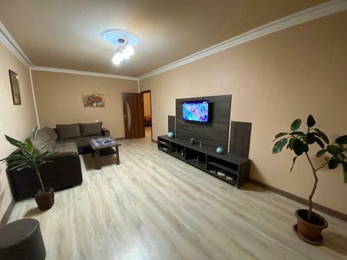 Central Home Apartment