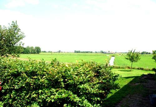 Bed In Waterland