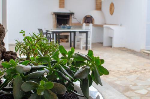 Sunset Apartment Playa Blanca