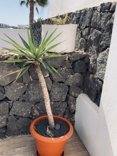 Lovely Villa D'ogna, Las Coloradas, Playa Papagayo