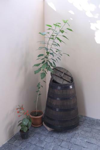 Apartamento Tulip - 1br - Self Checkin - Garden - Bbq - Netflix