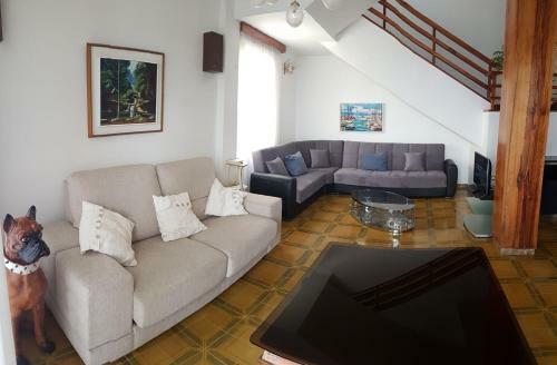 Marea Alta