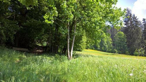 Apartamento Holiday Home Zillertal - Haus Gigl
