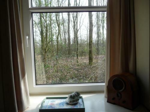 Bed & Breakfast Selatuinen