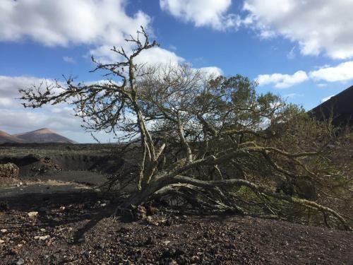 Villa Casa Margarita