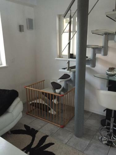 Apartamentos Ferienhaus Hassgautor
