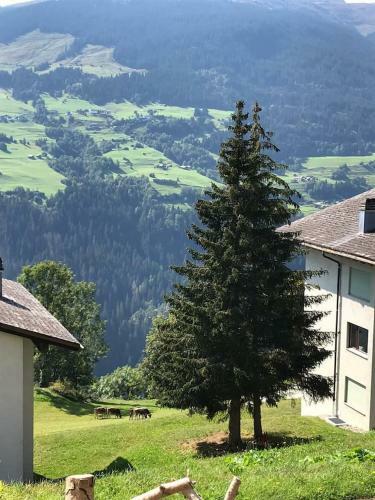 Apartamento Hoch �ber Dem Rheintal