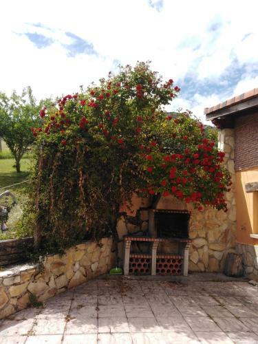 Casa Las Ni�as