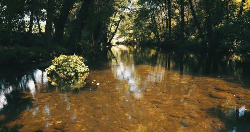 Agroturismo Esencia De Gredos