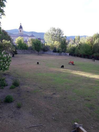 Agroturismo Zaguan