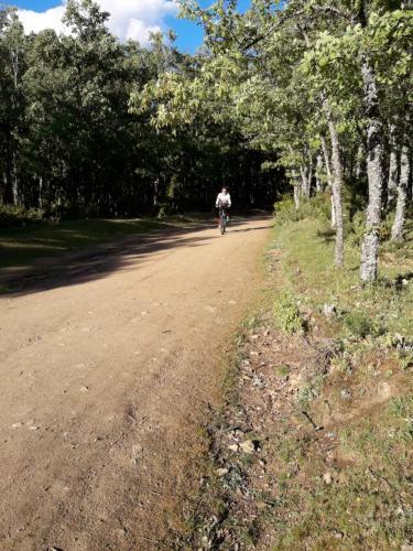 Apartamento Ordino 2 A