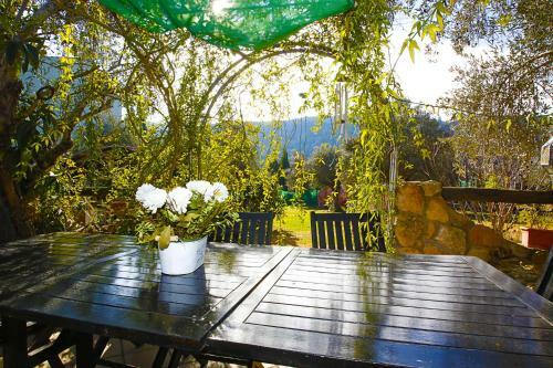 Apartamento Rio Indio Rural Home With Pool