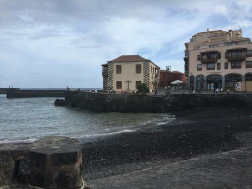 C�ntrico Y Coqueto Apartamento