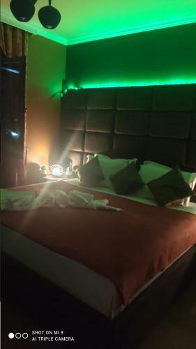 Hotel Artist